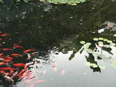 -黎阳老街