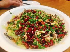 黑鱼花-三猫黑鱼花(南大店)