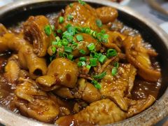 -芙蓉凰花园酒楼