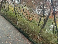 -灵顺寺