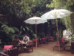 -Fern Forest Cafe
