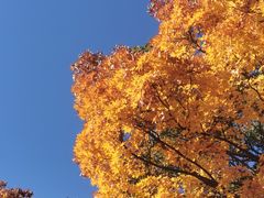 -北京西山国家森林公园