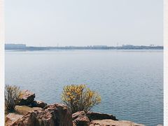 -丁香湖公园