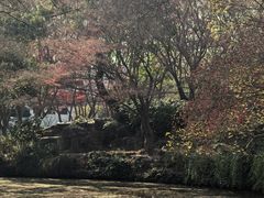 -秋霞圃