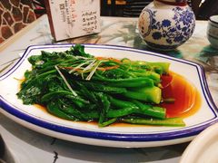 -风波庄(罍街分舵)