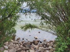 -西昌邛海湿地