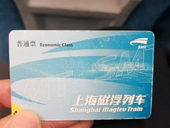 -龙阳路磁悬浮列车总站-停车场