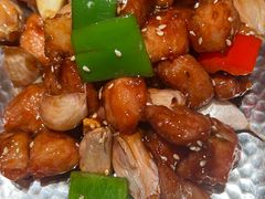 -老板恋上鱼(恒隆广场店)