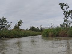 -泗洪洪泽湖湿地景区