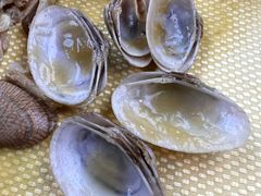 -沙田台山海鲜·酣客酒窖