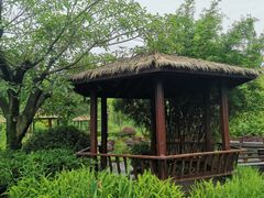 -成飞公园
