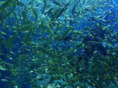 -成都浩海立方海洋公园