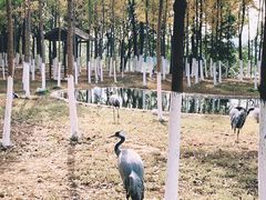 -艾溪湖湿地公园