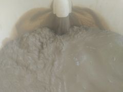 -100蛋泥浆浴