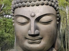 -杭州植物园