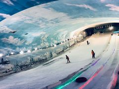 -世界之窗阿尔卑斯冰雪世界