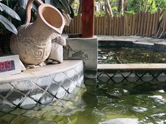-碧水湾温泉