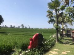 -Pundi Pundi Restaurant