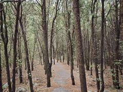 -云龙湖旅游景区