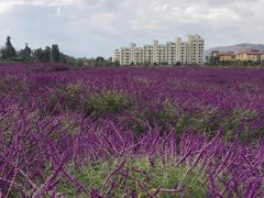 -华侨城阳宗海海景温泉