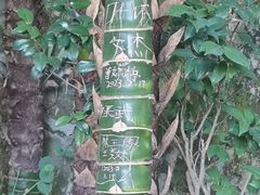 -湄洲岛