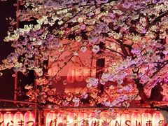 -涩谷全向十字路口