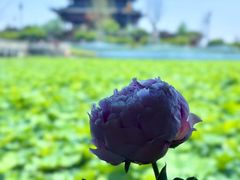 -重元寺