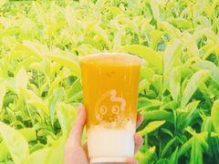 沙棘酸奶西米露-CoCo都可(常德路店)