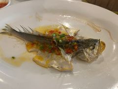 -顺峰·粤菜海鲜·早茶自助(阜成店)