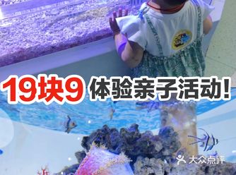 19块9体验亲子活动！  海洋总是对孩子有吸引力的