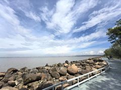 -吴淞炮台湾湿地森林公园烧烤区