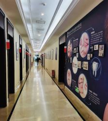 -南京医科大学友谊整形外科医院