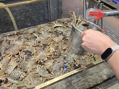 -半岛听涛蒸汽海鲜自助(K11店)