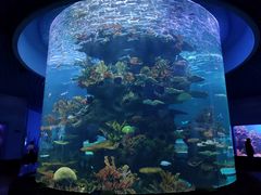 -多彩贵州城极地海洋世界