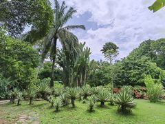 -中国科学院西双版纳热带植物园