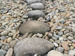 -鹦鹉洲湿地公园