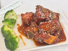 -津津名菜馆(绝没分店)