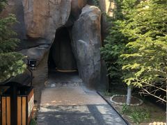 -东方华地城湿地温泉度假区
