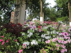 -重庆平顶山公园