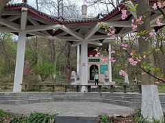 -南京老山国家森林公园