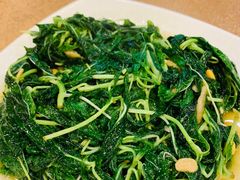 炒麻叶-揭阳钟记小食(福田新村店)