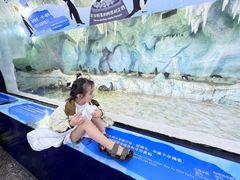 -帝企鹅自助餐厅•儿童岛•真企鹅(长隆企鹅酒店)