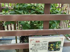 -广州神农草堂中医药博物馆