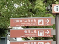 -奈良公园