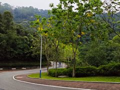 -火炉山森林公园