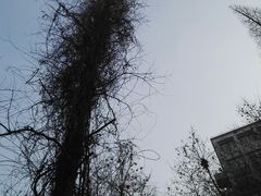 -巴金故居
