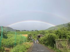 -帐篷客·溪龙茶谷度假酒店