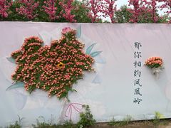 -北京凤凰岭
