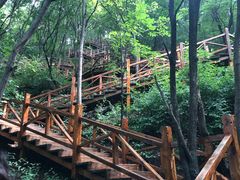 -大岭沟猕猴桃谷风景区