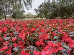 -永定河休闲森林公园